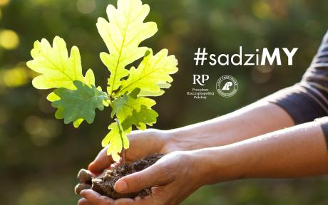 Rusza akcja #sadziMY – posadź swoje drzewko z Prezydentem RP i leśnikami