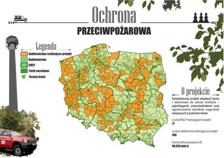 Kompleksowy projekt adaptacji lasów i leśnictwa do zmian klimatu